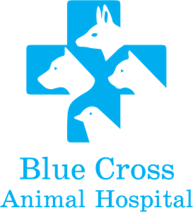 Ark Animal Hospital logo
